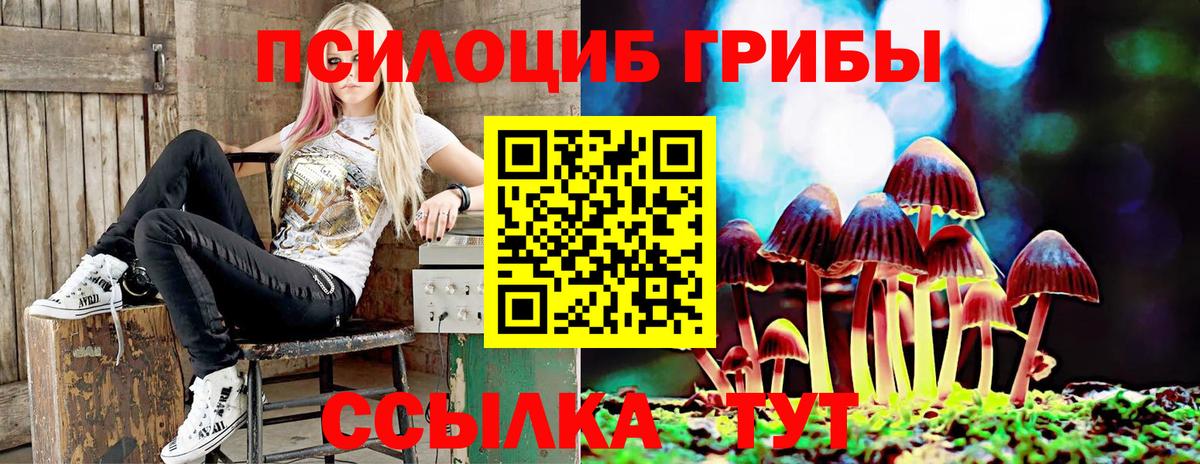Псилоцибиновые грибы Cubensis Чебоксары